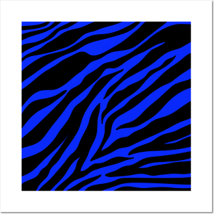 blue zebra Posters and Art